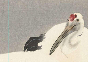 High-quality Print Two White Cranes - Ohara Koson Japanese Woodblock Print Ukiyo-e - City of Paradise
