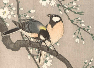 High-quality Print Tits on Cherry Branch - Ohara Koson Japanese Woodblock Print Ukiyo-e - City of Paradise