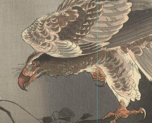 High-quality Print Eagle on the lookout for prey - Ohara Koson Japanese Woodblock Print Ukiyo-e - City of Paradise