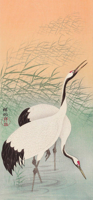 High-quality Print Two Cranes - Ohara Koson Japanese Woodblock Print Ukiyo-e - City of Paradise